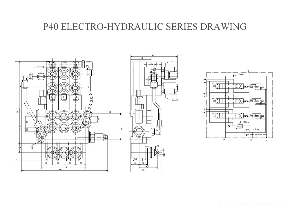 P40-Electro-hydraulic-Series-Drawing.jpg
