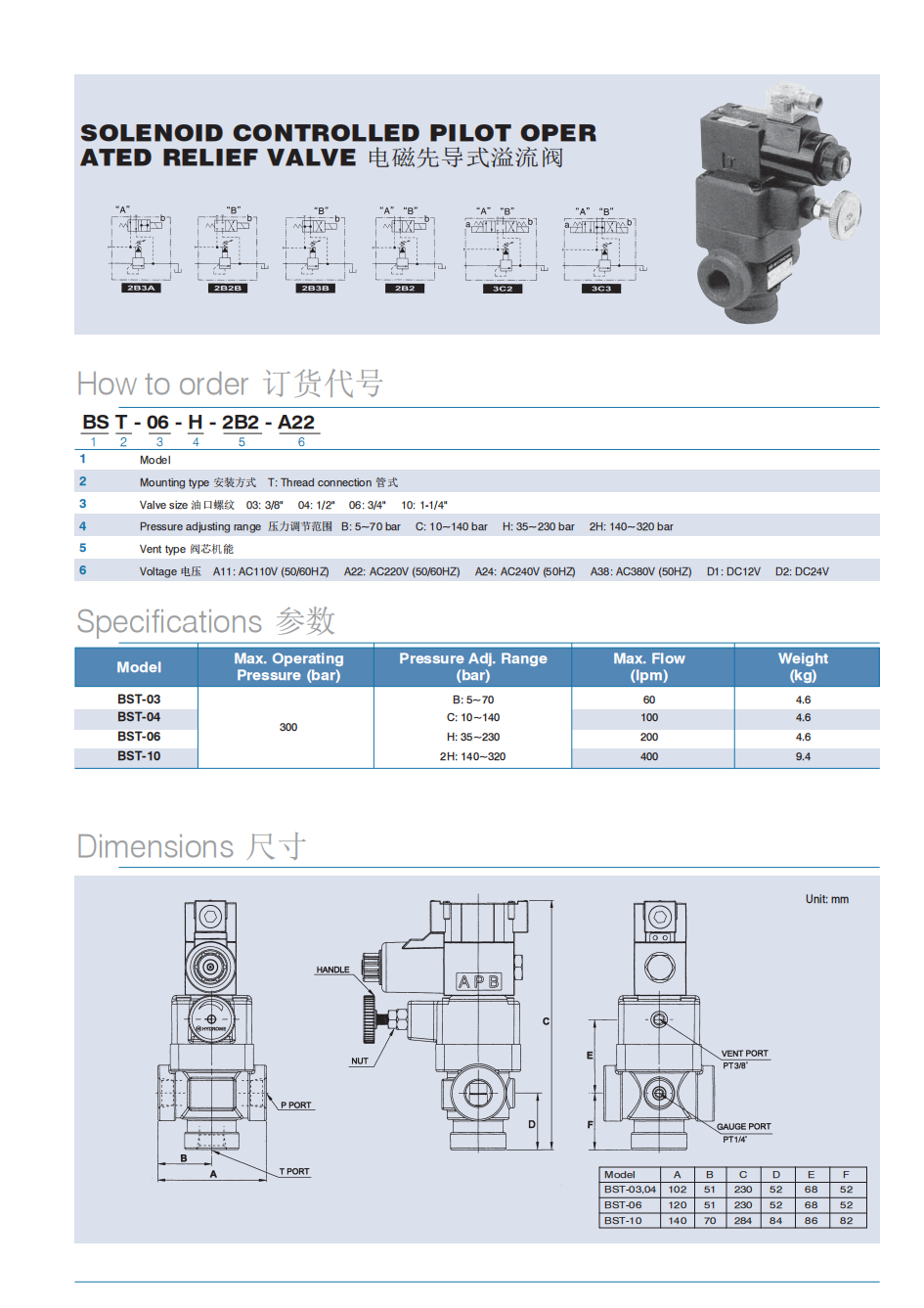 BST-06 Solenoid Control Relief Valve——BST-06电磁溢流阀